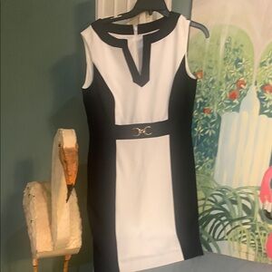 White and Black Sleeveless V-Neck Sheath Dress